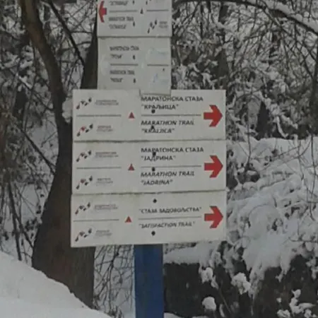 Ilic Hostel *
